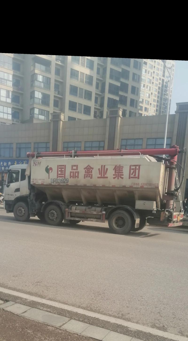 路桥桩基断桩处理与检测技术指南